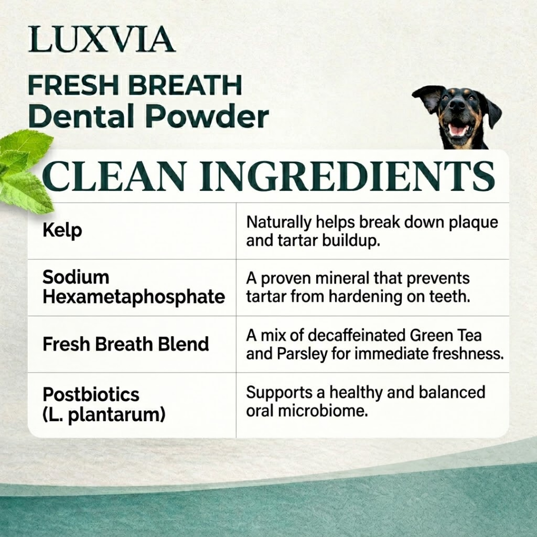 Luxvia Bio-Dental