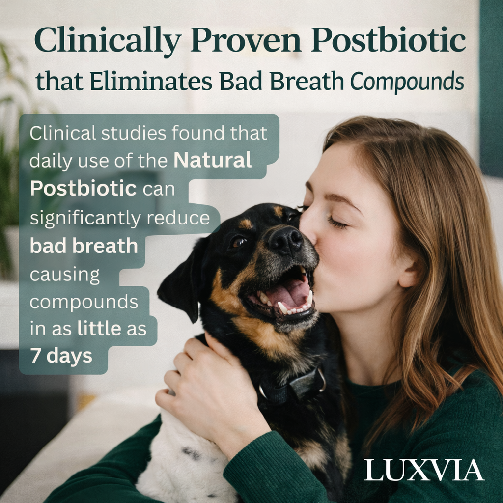 Luxvia Bio-Dental