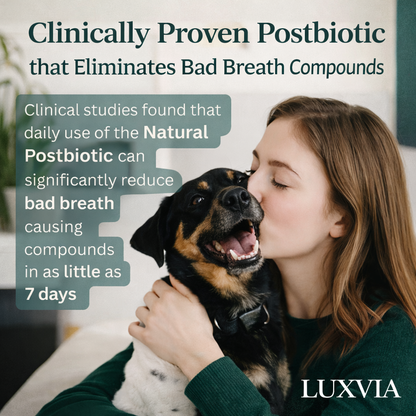Luxvia Bio-Dental