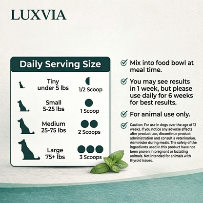 Luxvia Bio-Dental