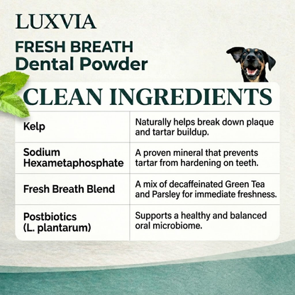 Luxvia Bio-Dental